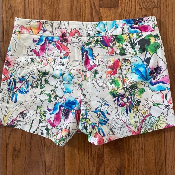 Express Pants - Express shorts